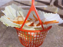 -前小桔亲子创意农场·草莓采摘·露营烧烤