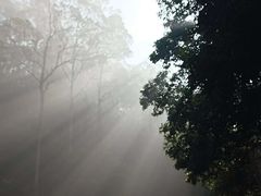 -大雁山风景区