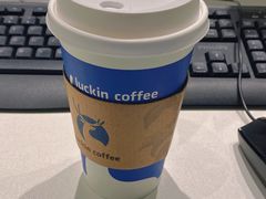 -瑞幸咖啡(绿地新都会9号楼店)