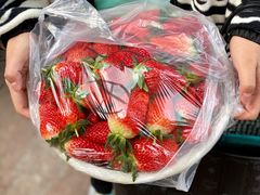 草莓-堤口果品批发市场