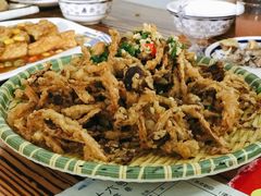 -杨厝六十六农庄农舍(杨厝路店)