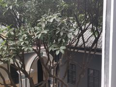 -湖南省立第一师范学校旧址