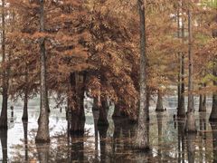 -白鹭湾湿地公园