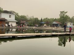 -特种渔场