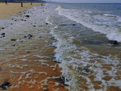 -林旺社区水果市场