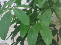 -至尊名仕·中泰按摩·养生SPA会所