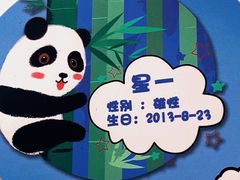 -广州动物园