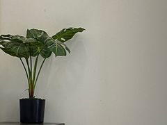 -天真蓝照相馆(宁波来福士店)