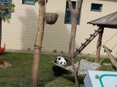 -石家庄市动物园