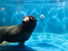 -成都浩海立方海洋公园