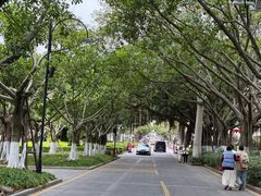 -厦门大学(思明校区)