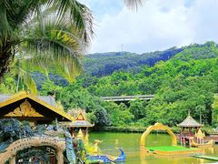 -西双版纳原始森林公园