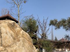 -汤泊温泉度假村