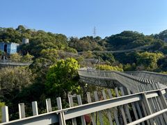 -福道