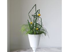 -荷兰布尔玛国际花艺学院