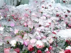 -洛阳白云山景区