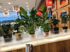 -大清花饺子(山庄店)