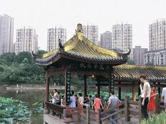 -龙头寺公园