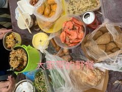 -上海海湾国家森林公园