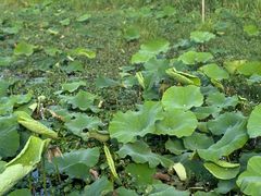 -东钱湖旅游度假区