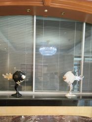 -北京俪婴妇产医院(朝阳大悦城店)