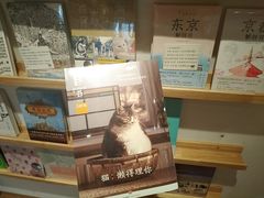 -猫的天空之城概念书店(苏州平江店)