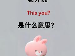 -引领英语·成人口语·雅思托福