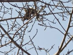 -风云岭森林公园