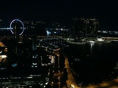 -新加坡瑞士史丹福酒店