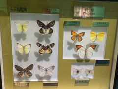 -上海昆虫博物馆