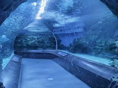 -海合安成都极地海洋公园