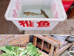 -雅安上里古镇