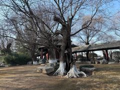 -中国唐苑