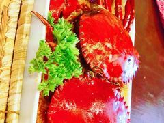-茉莉.Red Crab