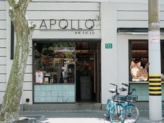 -Apollo·西班牙小酒馆(安福路店)
