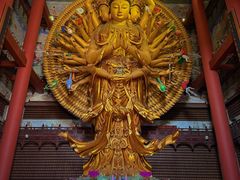 -上海东林寺(金山区)
