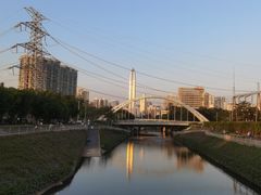 -福田红树林生态公园