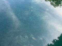 -百脉泉景区