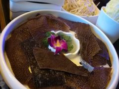 -红牌美蛙鱼头火锅(万辉国际广场店)