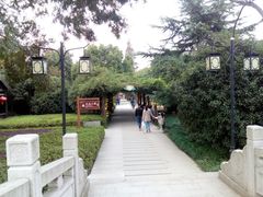 -白马涧龙池景区
