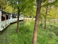 -黄海国家森林公园