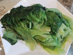 生菜-新疆伊宁远征餐厅