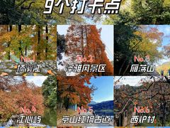 -泽雅景区