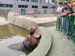 -保定市动物园