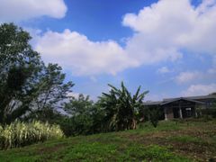 -白鹭湾湿地公园