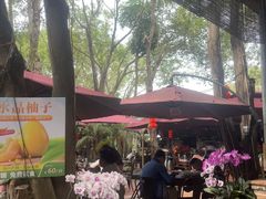 -园林美食城·本土农家菜(杨和镇店)