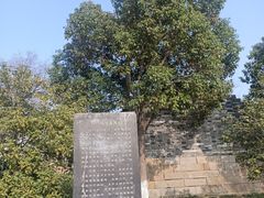 -相门城墙文化休闲景区