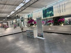 -兰陵国家农业公园