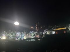 -禅宗少林·音乐大典