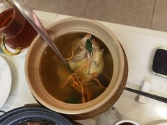 花螺鸡汤-神仙馆(衡山路店)